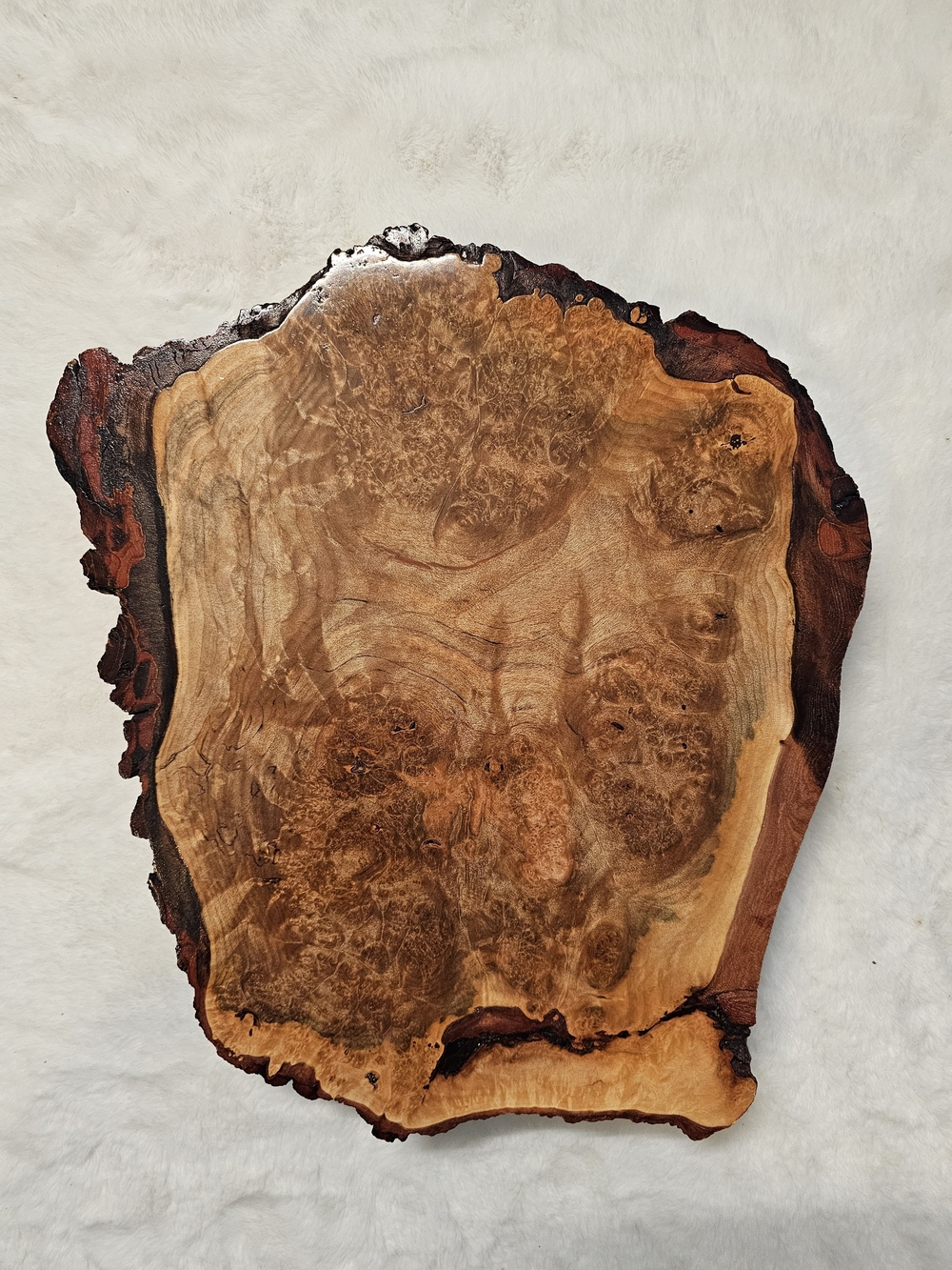 Handcrafted Live Edge Burch Burl Wood Block in Glossy Natural Brown Finish